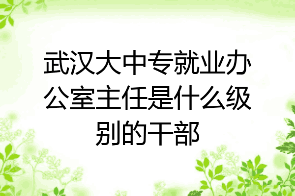 武汉大中专就业办公室主任是什么级别的干部