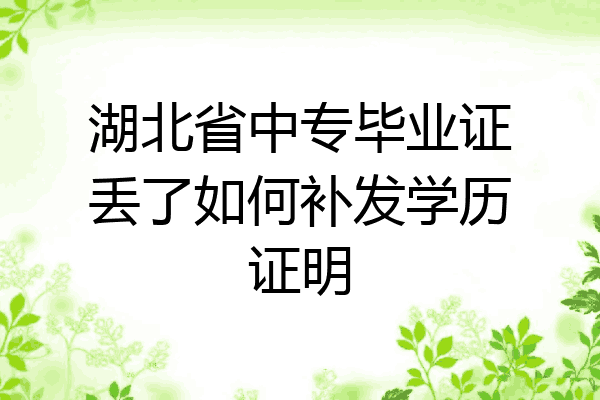 湖北省中专毕业证丢了如何补发学历证明