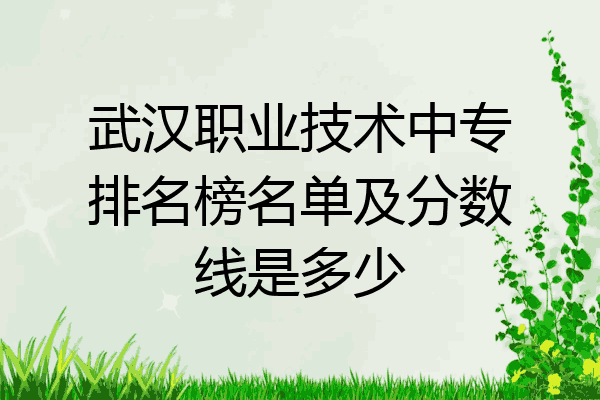 武汉职业技术中专排名榜名单及分数线是多少