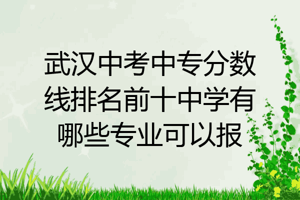 武汉中考中专分数线排名前十中学有哪些专业可以报