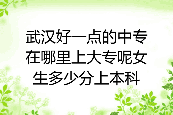 武汉好一点的中专在哪里上大专呢女生多少分上本科