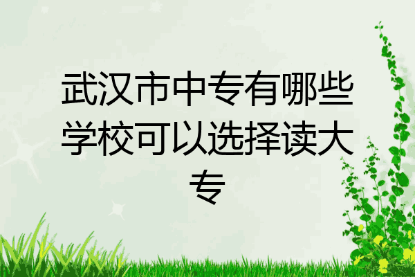 武汉市中专有哪些学校可以选择读大专