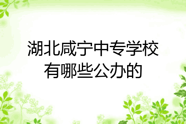 湖北咸宁中专学校有哪些公办的