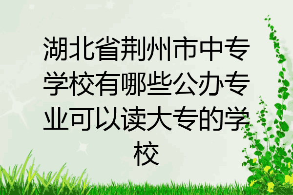 湖北省荆州市中专学校有哪些公办专业可以读大专的学校