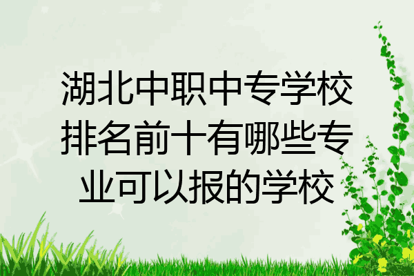 湖北中职中专学校排名前十有哪些专业可以报的学校