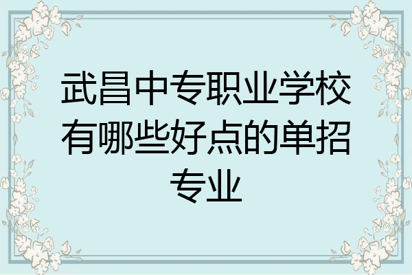 武昌中专职业学校有哪些好点的单招专业