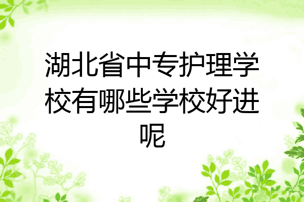 湖北省中专护理学校有哪些学校好进呢