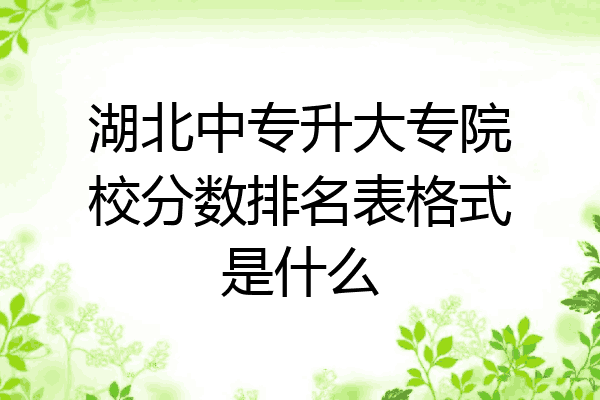 湖北中专升大专院校分数排名表格式是什么