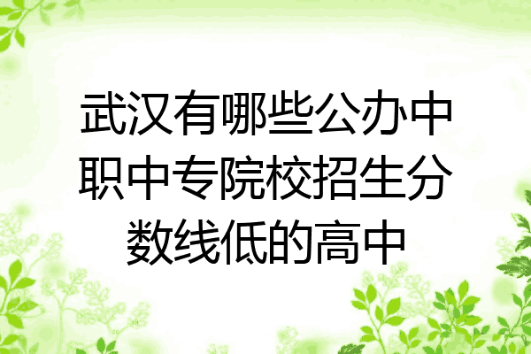 武汉有哪些公办中职中专院校招生分数线低的高中
