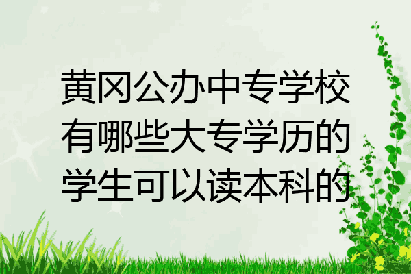 黄冈公办中专学校有哪些大专学历的学生可以读本科的