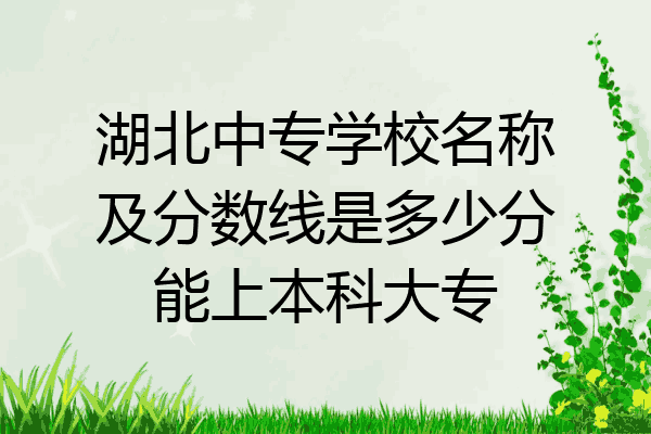 湖北中专学校名称及分数线是多少分能上本科大专