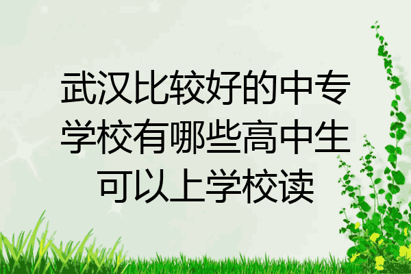 武汉比较好的中专学校有哪些高中生可以上学校读