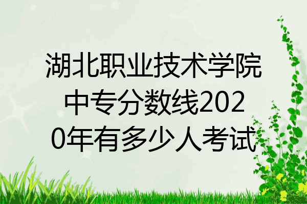湖北职业技术学院中专分数线2020年有多少人考试