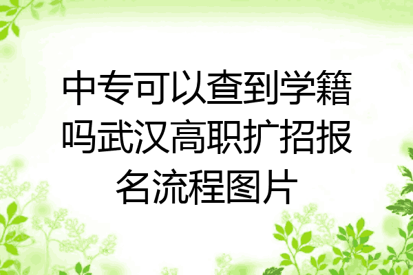 中专可以查到学籍吗武汉高职扩招报名流程图片