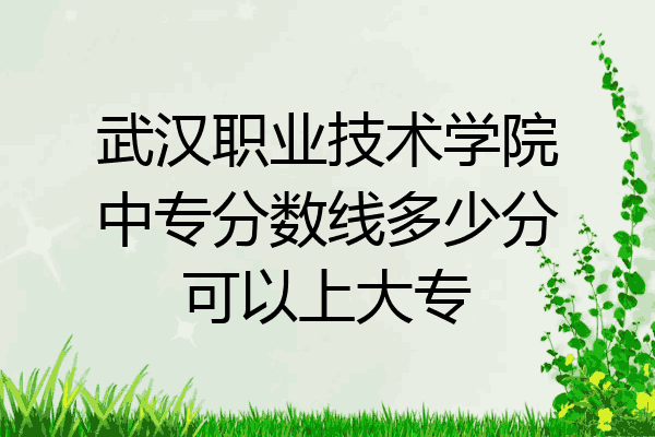 武汉职业技术学院中专分数线多少分可以上大专