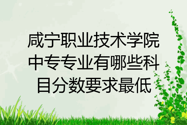 咸宁职业技术学院中专专业有哪些科目分数要求最低
