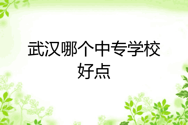 武汉哪个中专学校好点