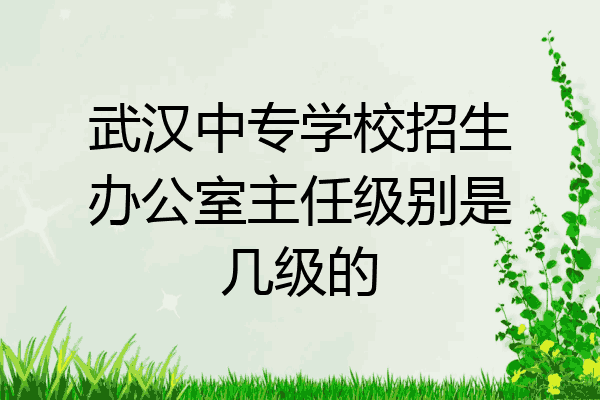 武汉中专学校招生办公室主任级别是几级的