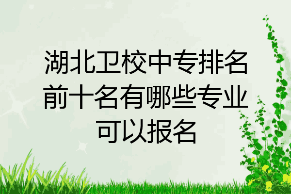 湖北卫校中专排名前十名有哪些专业可以报名
