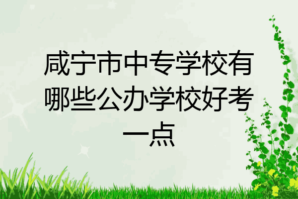 咸宁市中专学校有哪些公办学校好考一点