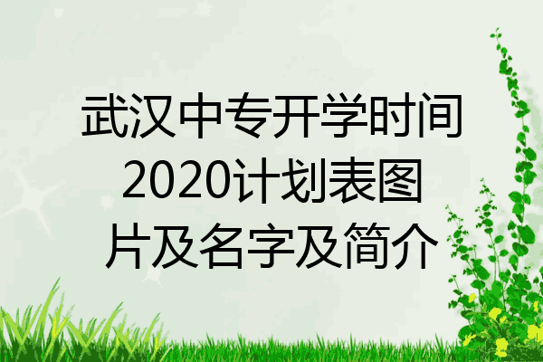 武汉中专开学时间2020计划表图片及名字及简介