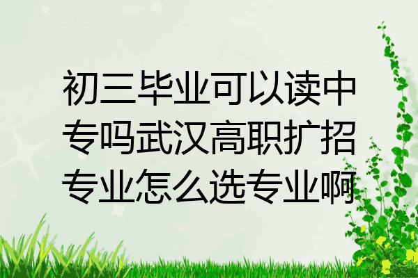 初三毕业可以读中专吗武汉高职扩招专业怎么选专业啊