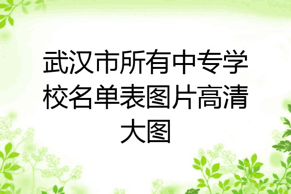 武汉市所有中专学校名单表图片高清大图
