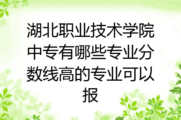 湖北职业技术学院中专有哪些专业分数线高的专业可以报