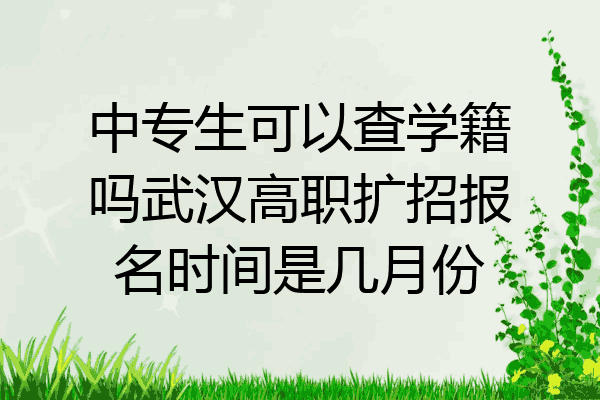 中专生可以查学籍吗武汉高职扩招报名时间是几月份