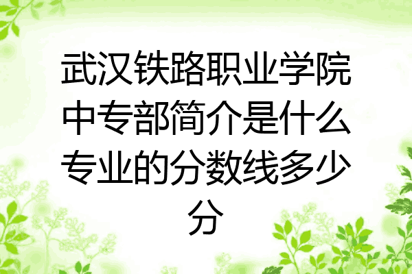 武汉铁路职业学院中专部简介是什么专业的分数线多少分