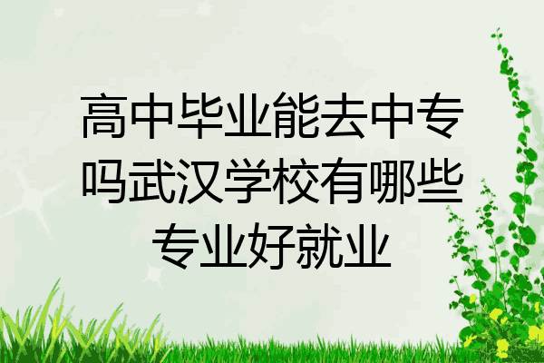 高中毕业能去中专吗武汉学校有哪些专业好就业