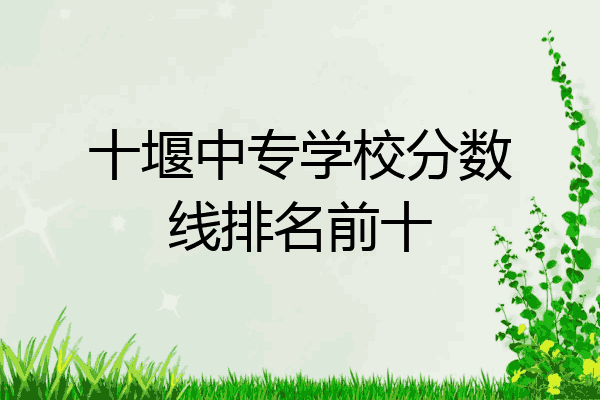 十堰中专学校分数线排名前十