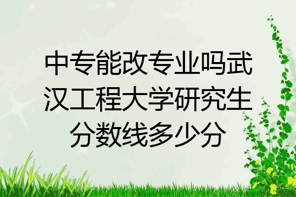 中专能改专业吗武汉工程大学研究生分数线多少分