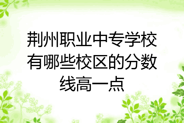 荆州职业中专学校有哪些校区的分数线高一点