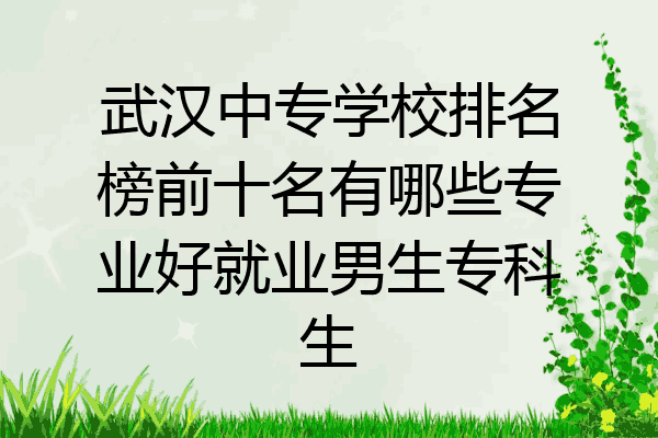 武汉中专学校排名榜前十名有哪些专业好就业男生专科生