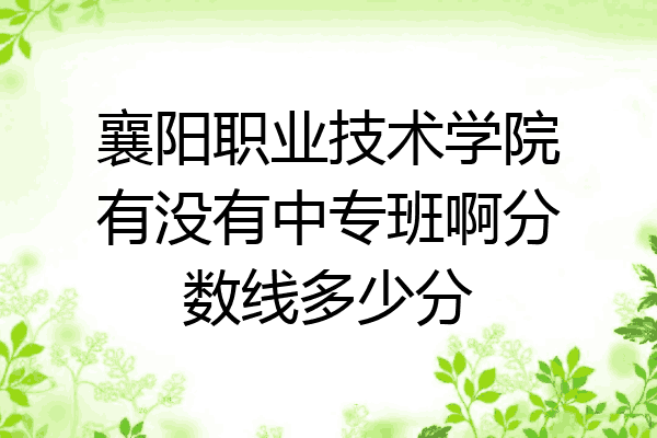 襄阳职业技术学院有没有中专班啊分数线多少分