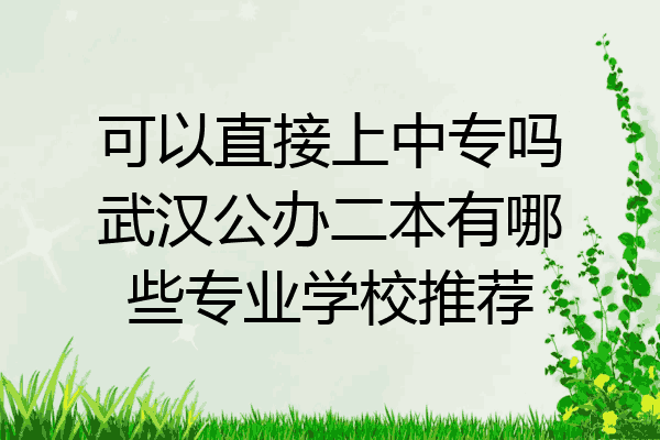 可以直接上中专吗武汉公办二本有哪些专业学校推荐