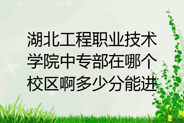 湖北工程职业技术学院中专部在哪个校区啊多少分能进