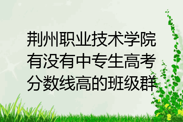 荆州职业技术学院有没有中专生高考分数线高的班级群