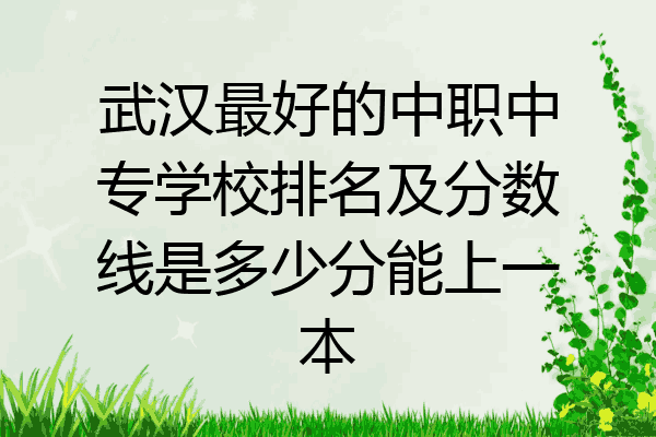 武汉最好的中职中专学校排名及分数线是多少分能上一本
