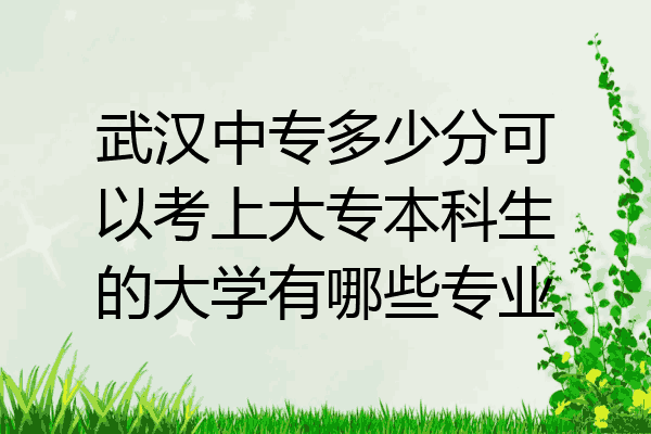 武汉中专多少分可以考上大专本科生的大学有哪些专业