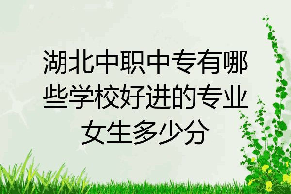 湖北中职中专有哪些学校好进的专业女生多少分