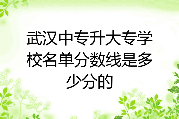 武汉中专升大专学校名单分数线是多少分的