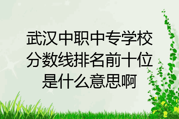 武汉中职中专学校分数线排名前十位是什么意思啊
