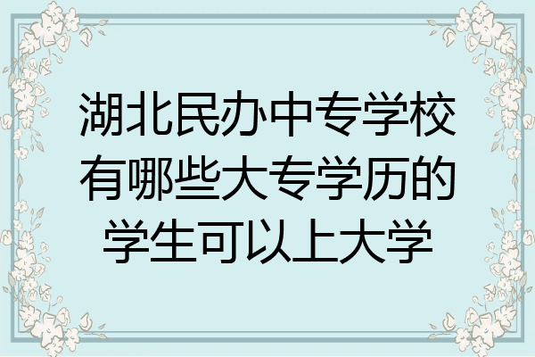 湖北民办中专学校有哪些大专学历的学生可以上大学