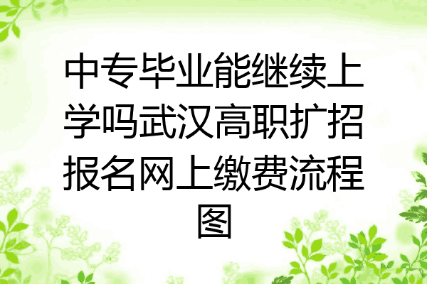 中专毕业能继续上学吗武汉高职扩招报名网上缴费流程图