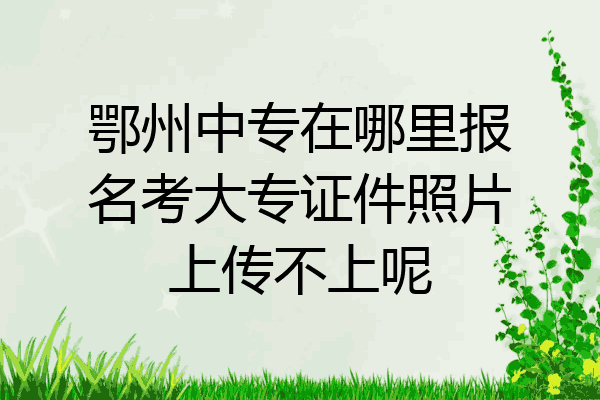 鄂州中专在哪里报名考大专证件照片上传不上呢