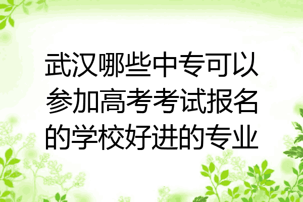 武汉哪些中专可以参加高考考试报名的学校好进的专业