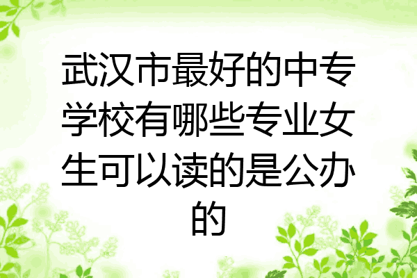 武汉市最好的中专学校有哪些专业女生可以读的是公办的
