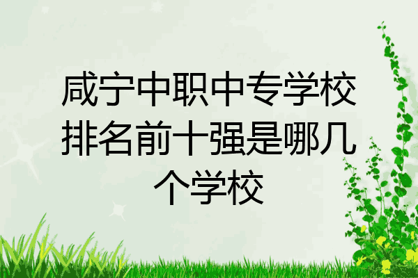 咸宁中职中专学校排名前十强是哪几个学校